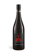 Blauburgunder - neuer Jahrgang