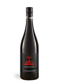 Blauburgunder - neuer Jahrgang