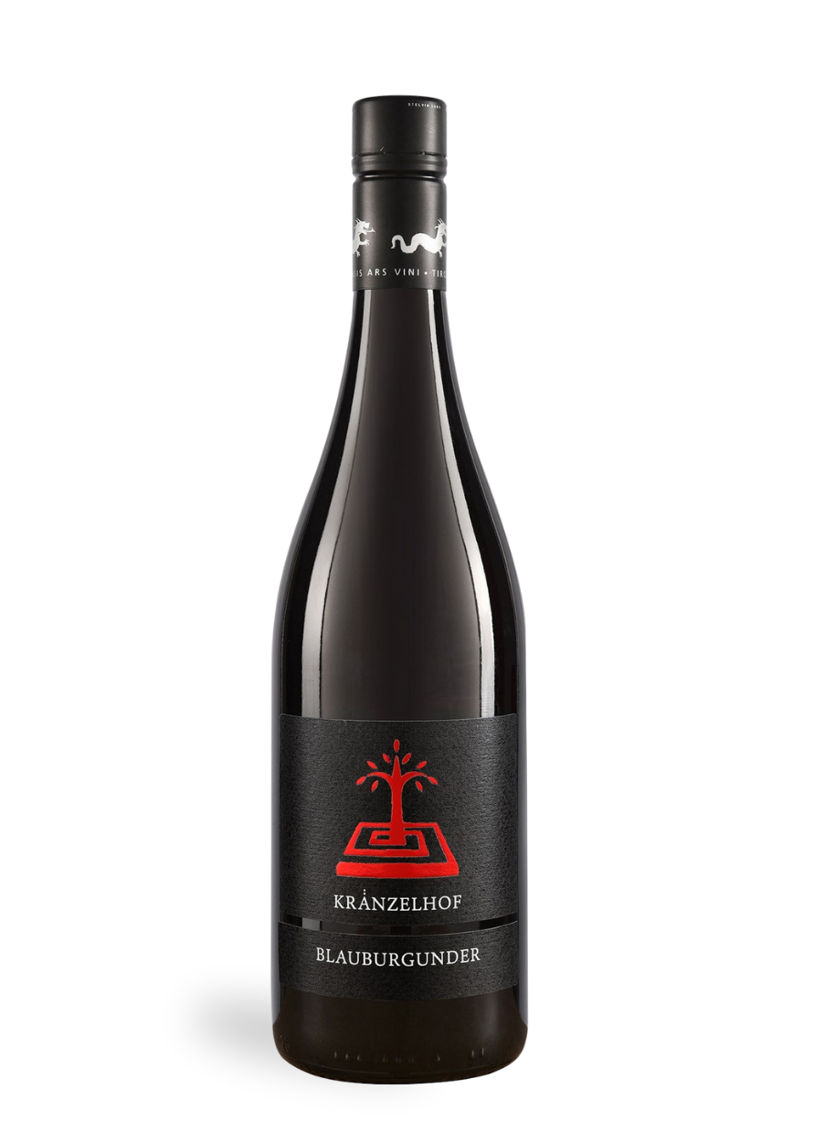 Blauburgunder - neuer Jahrgang